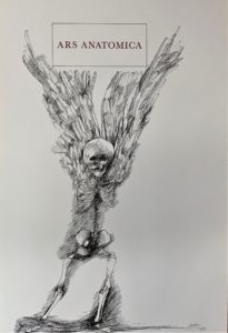 Ars Anatomica Portfolio Plate I