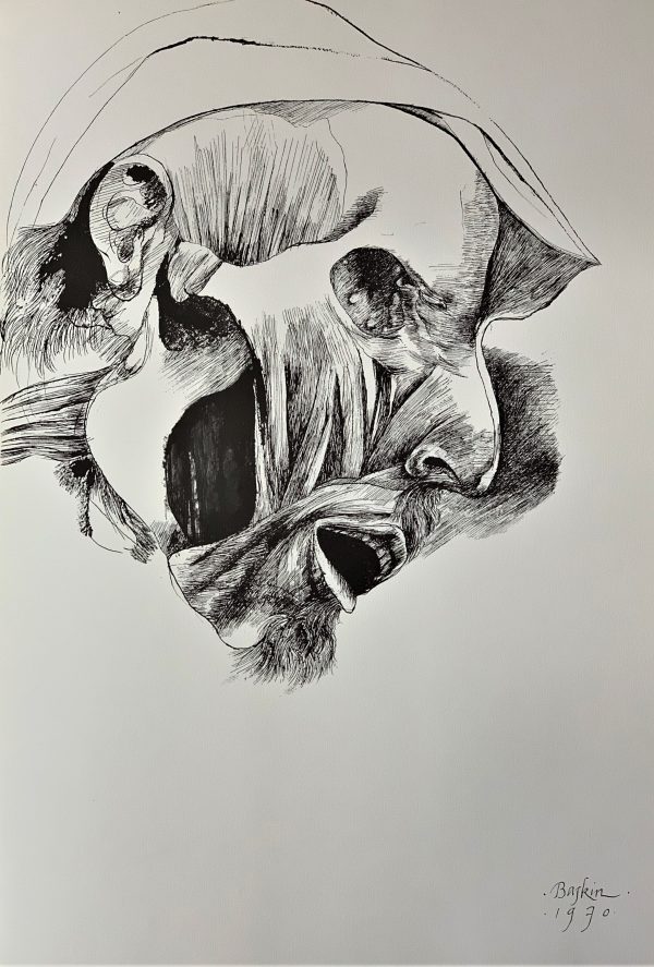 Ars Anatomica Portfolio Plate II