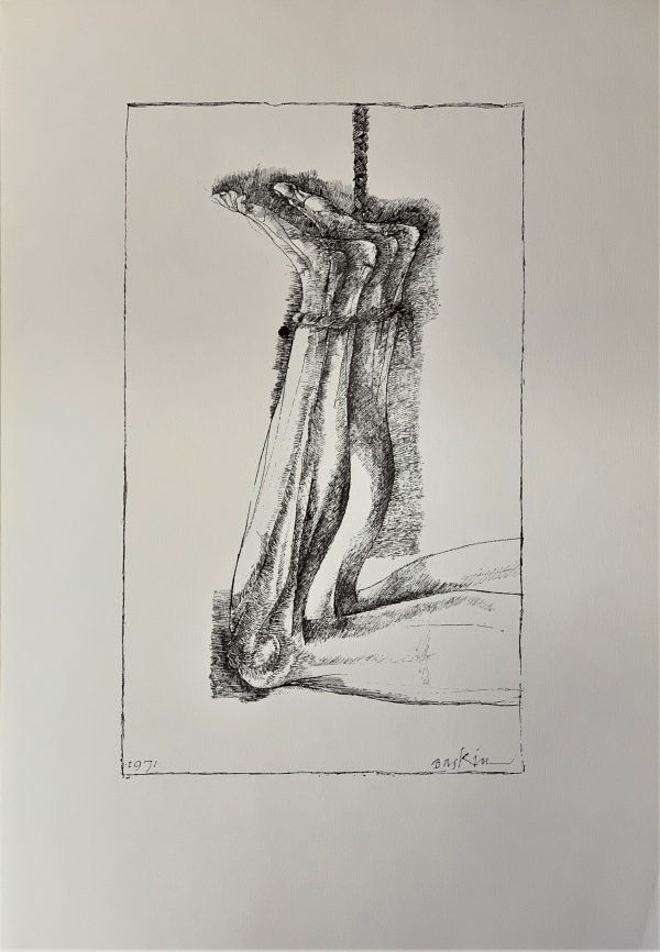 Ars Anatomica Portfolio Plate III