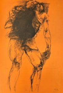 Ars Anatomica Portfolio Plate IV