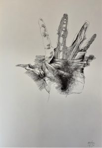 Ars Anatomica Portfolio Plate V