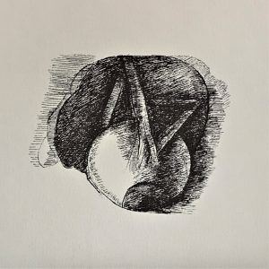 Ars Anatomica Portfolio Plate VII