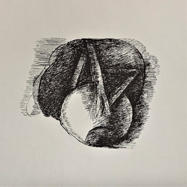 Ars Anatomica Portfolio Plate VII