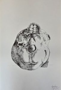 Ars Anatomica Portfolio Plate XI