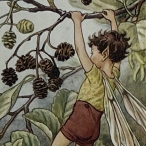 Alder Tree Fairy