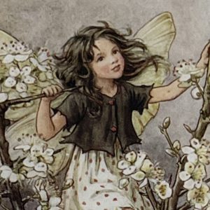 Blackthorn Fairy
