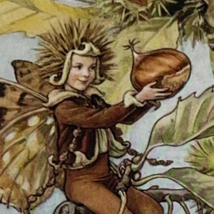 Sweet Chestnut Fairy