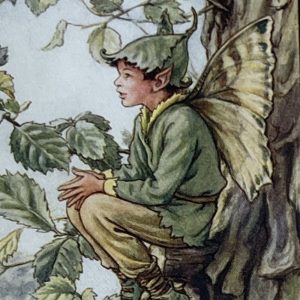 Elm Tree Fairy