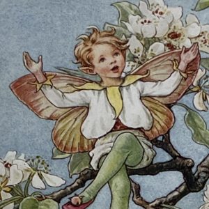 Pear Blossom Fairy