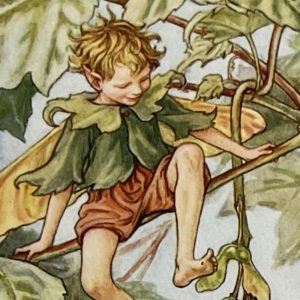 Sycamore Fairy