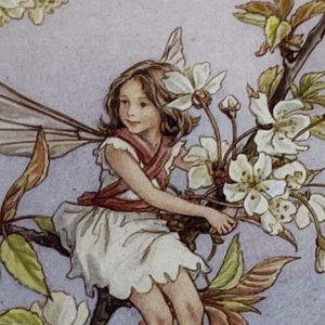 Wild Cherry Tree Fairy