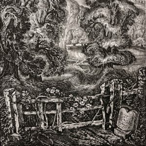 Old Road: Elegy for the English Elm I