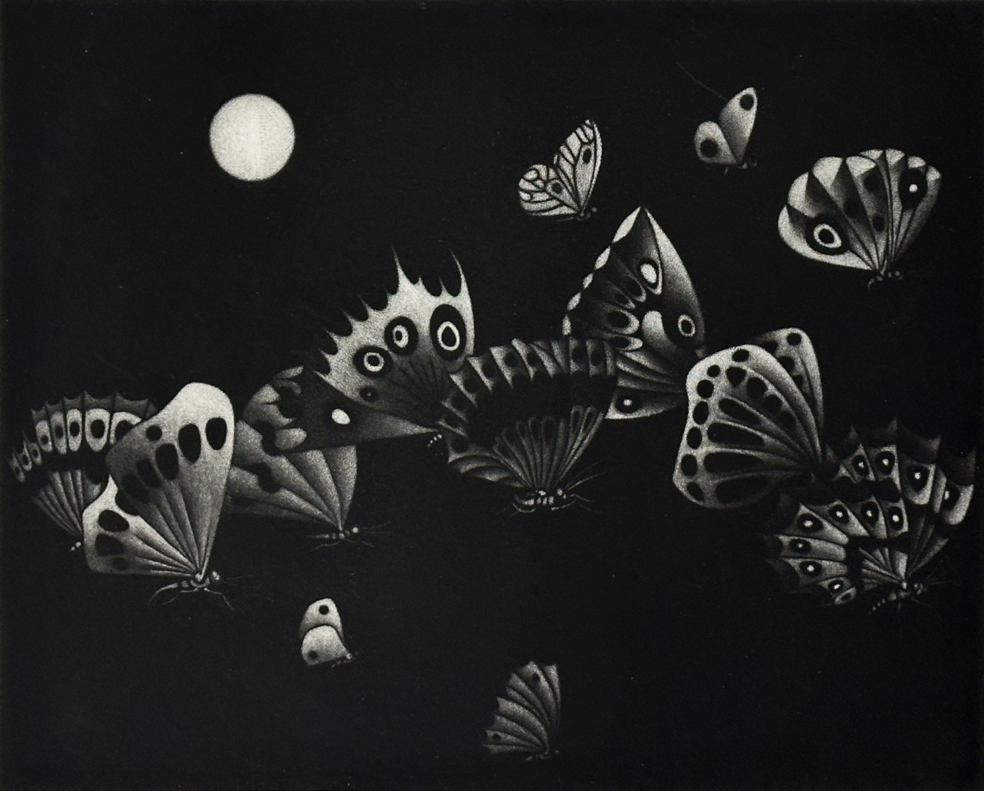13 Butterflies in a Black Manner [Manière Noire aux 13 Papillons] - Image 3