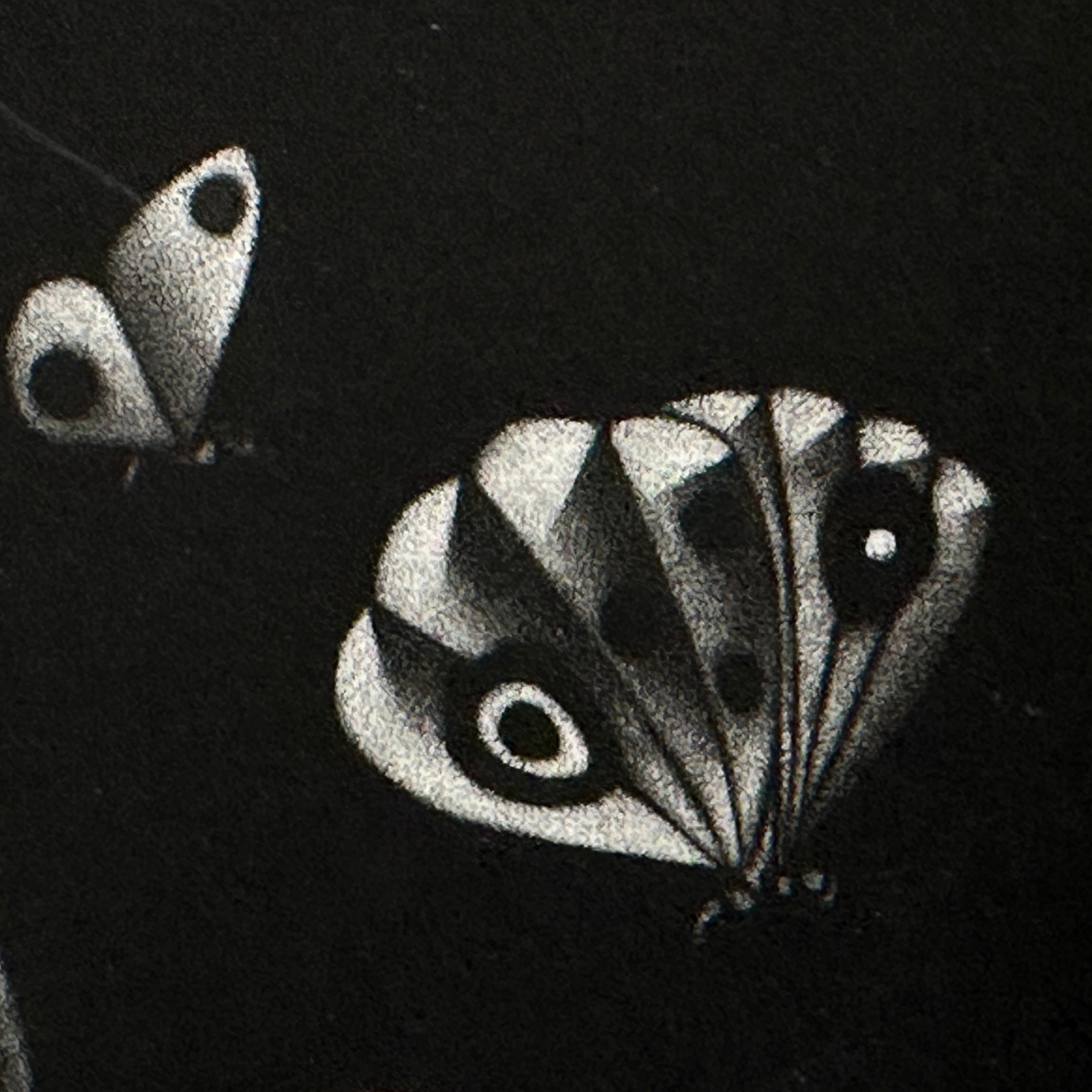 13 Butterflies in a Black Manner [Manière Noire aux 13 Papillons] - Image 8