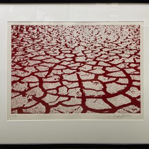 Cracked Red Earth