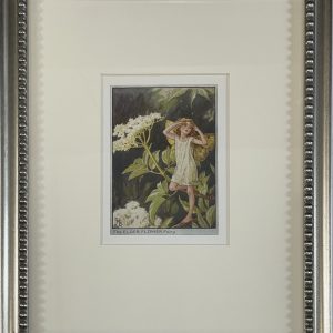 Elder Flower Fairy