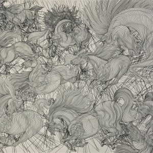 Onze Chevaux