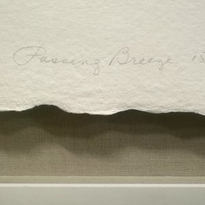 Passing Breeze 15