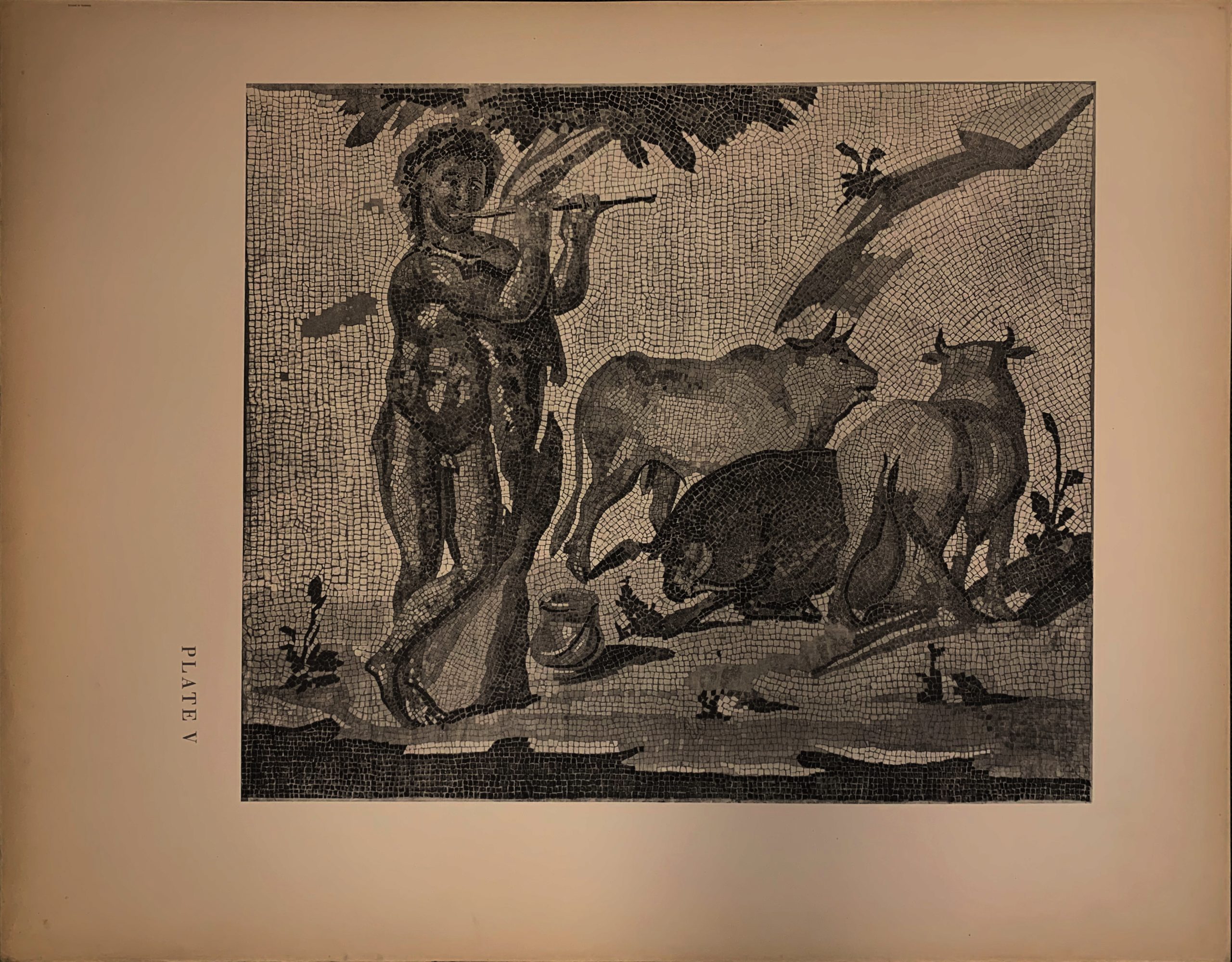 Picture on South Side of Atrium, from the Corinth Excavations Portfolio - Image 5