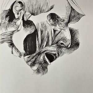 Plate II [Face] from Ars Anatomica