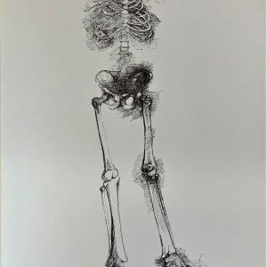 Plate IX [Skeleton] from Ars Anatomica