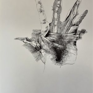 Plate V [Hand] from Ars Anatomica