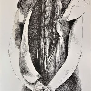 Plate VIII [Spine] from Ars Anatomica