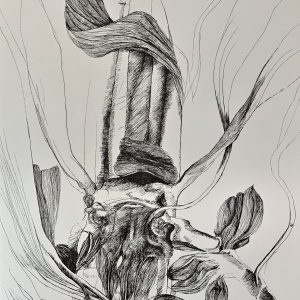 Plate X [Knee] from Ars Anatomica