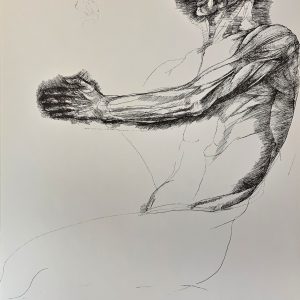 Plate XII [Torso, Head, and Arm] from Ars Anatomica