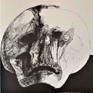 Plate XIII [Skull] from Ars Anatomica