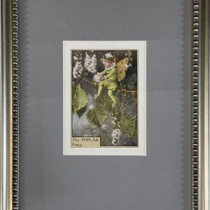 Poplar Tree Fairy
