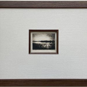 Untitled (Marsh)