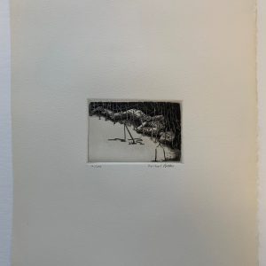 Victims Plate V